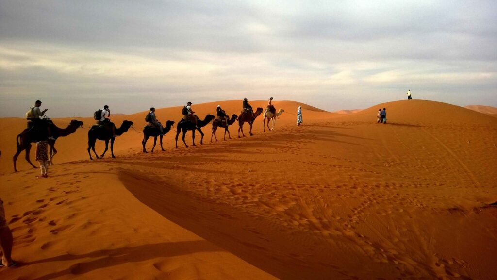 camel trekking in Morocco Explore the Fes Desert in 10 Days: Itinerary